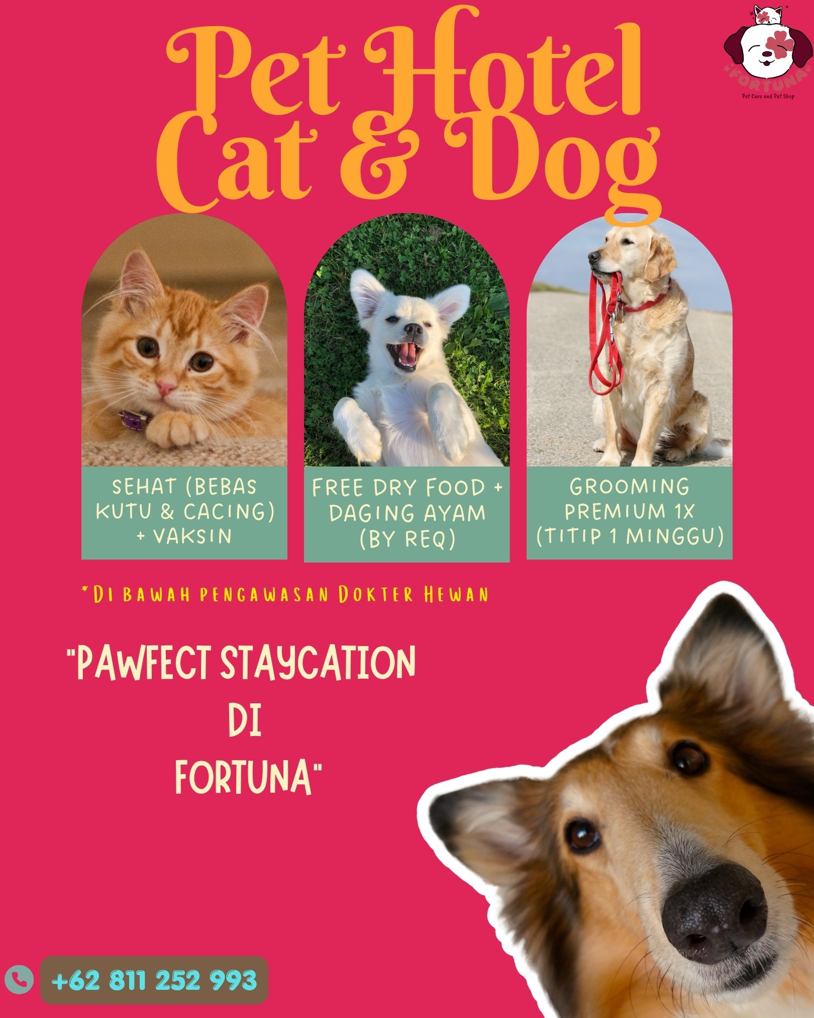 Foto Fortuna Pet Care Kupang