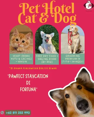 Foto Fortuna Pet Care Kupang